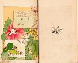 『春夏秋冬理科手引書』（明治35年刊）養病中手がけた理科の入門書写真