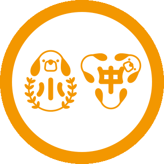 B4.小中年