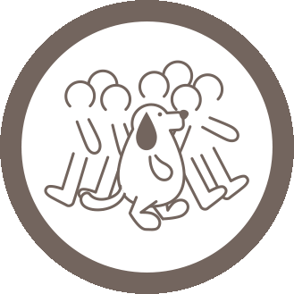 3.社会
